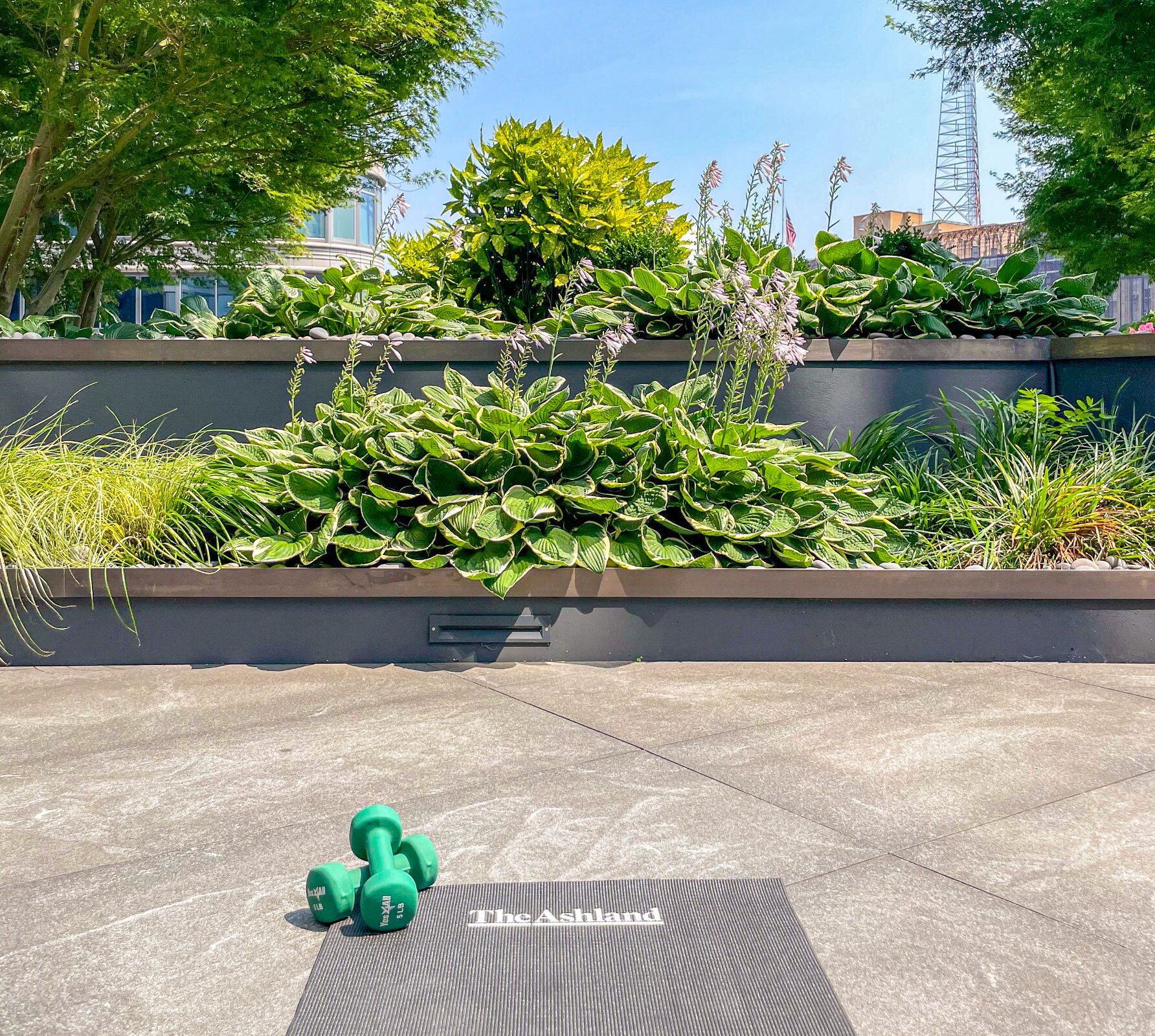 Outdoor fitness area at The Ashland with weights and landscaped planters
